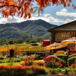 When is The Best Time To Go To Napa Valley Wine Tours-Baylimoz Bay Area