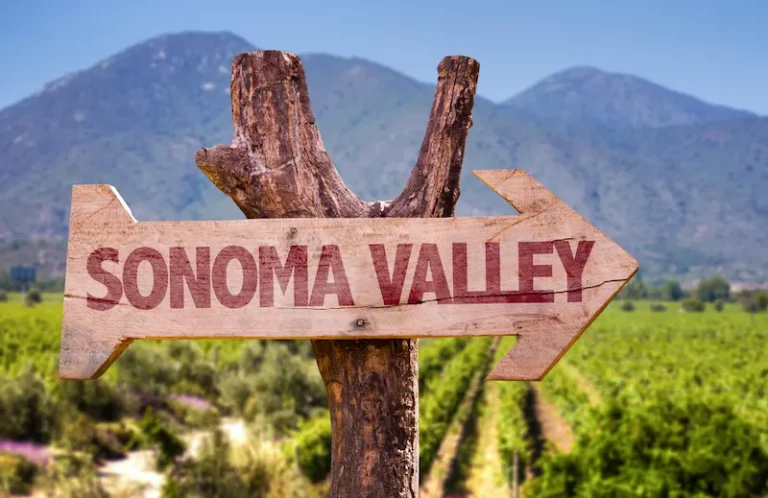 Best Guide about Sonoma Valley Wine Tours- Baylimoz