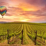 Which is Better Napa Valley or Sonoma Valley The Best Guide in 2024- Baylimoz Napa Limo service