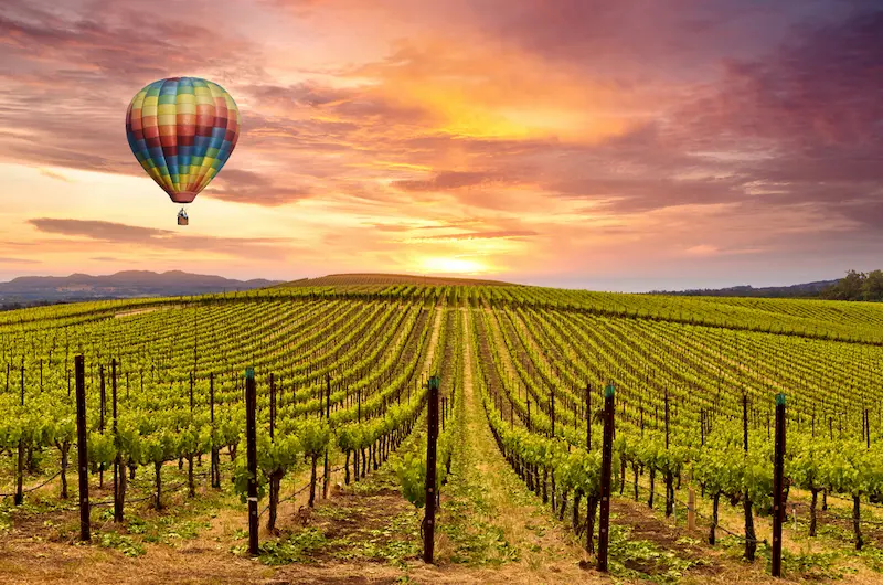 Which is Better Napa Valley or Sonoma Valley The Best Guide in 2024- Baylimoz Napa Limo service