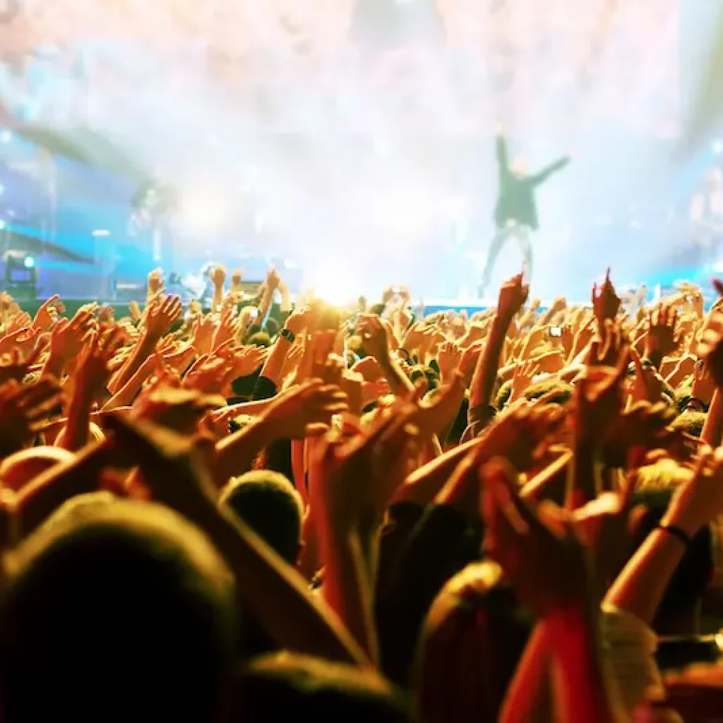 Napa Valley Festival 2024 The Best Comprehensive Guide- Baylimoz Napa Limo tours
