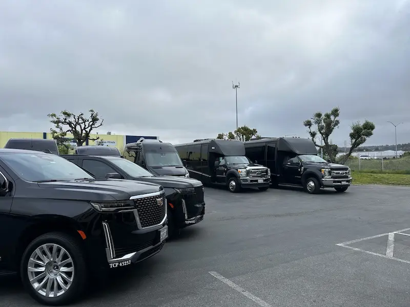 Prom Limo Amenities