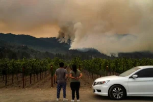 How Far Is Napa Valley From Los Angeles