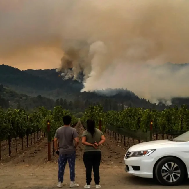How Far Is Napa Valley From Los Angeles