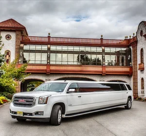 Benefits of Limo Service by Baylimoz Discover the Advantages in 2024-Baylimoz