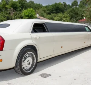 Best Private Limo Service to Napa Valley Unveil True Luxury in 2024- Baylimoz Napa limo service