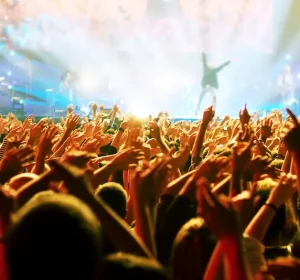 Napa Valley Festival 2024 The Best Comprehensive Guide- Baylimoz Napa Limo tours