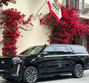 How to plan a Napa Valley vacation? The Ultimate Guide in 2024