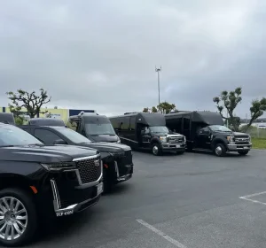 Best Napa Valley Chauffeur- A Comprehensive Guide in 2024 - BayLimoz Napa Limo Service