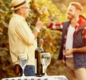What to Wear in Napa Valley | Napa Outfit Tips