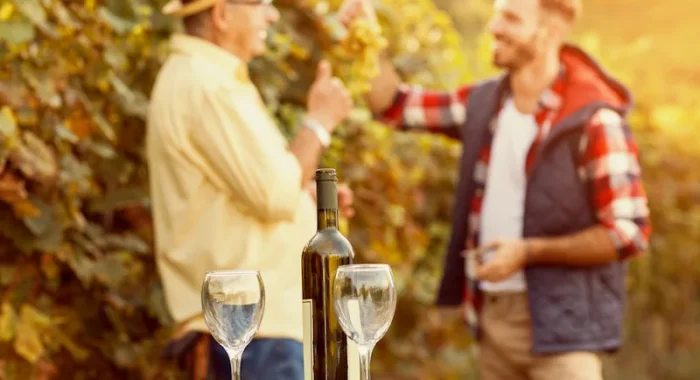 What to Wear in Napa Valley | Napa Outfit Tips
