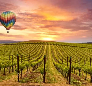 Which is Better Napa Valley or Sonoma Valley The Best Guide in 2024- Baylimoz Napa Limo service
