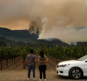 How Far Is Napa Valley From Los Angeles